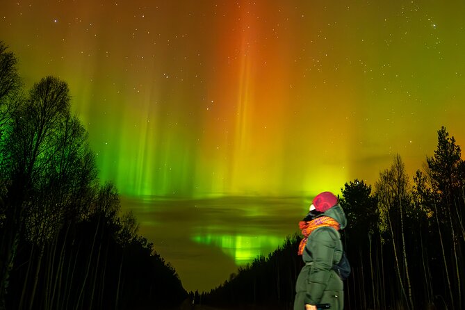 Rovaniemi: Northern Lights Hunting and Photography Tour - Key things that make this tour work