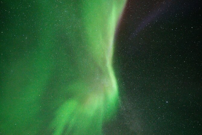 Rovaniemi: Northern Lights Hunting and Photography Tour - Comfort breaks: snacks and warm drinks in the cold
