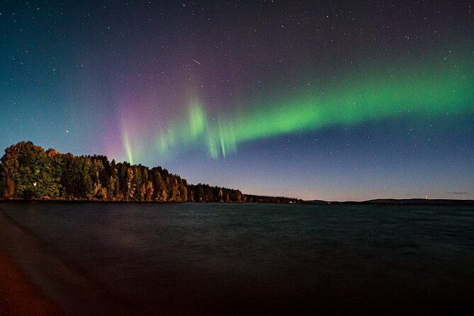 Rovaniemi: Northern Lights Hunting and Photography Tour - The big risk: when the aurora doesn’t show up