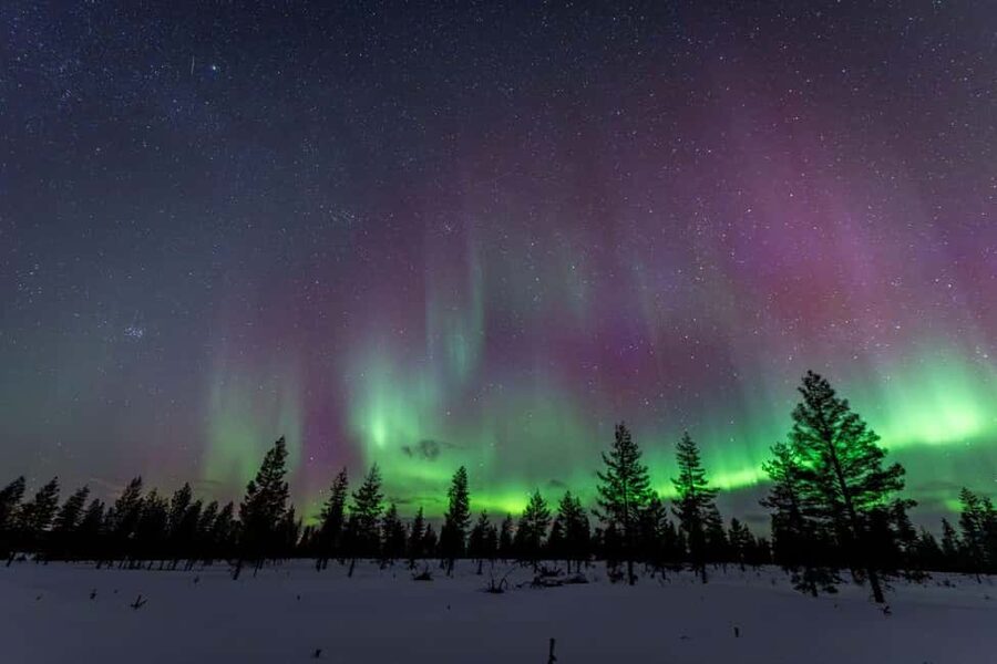 Rovaniemi: Northern Lights Photo Tour | Money-Back Guarantee - What the night feels like: hot drinks, winter gear, and the first push out