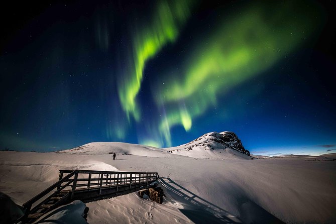 Rovaniemi Northern Lights Photography Small-Group Tour - Small-Group Comfort in a Premium Minivan (and the One Thing That Can Frustrate You)