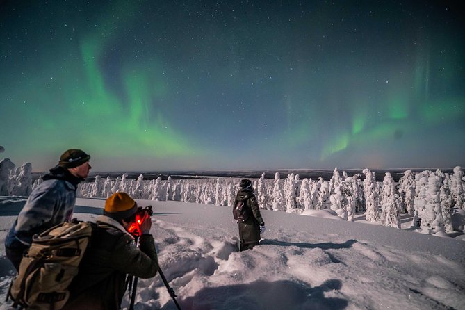 Rovaniemi Northern Lights Photography Small-Group Tour - Value Math: Is $175.43 Worth It for an Aurora Hunt?