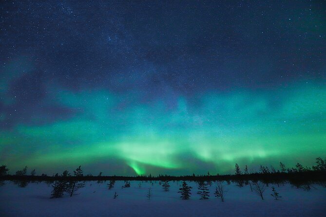 Rovaniemi: Northern Lights Pro Guaranteed - Unlimited Distance - The 100% money-back guarantee: what it does for your decision