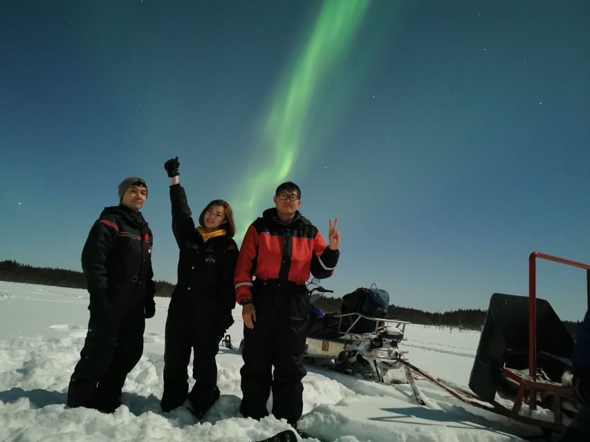 Rovaniemi: Northern Lights Sledge Ride - The Arctic Forest sledge ride: slow, quiet, and oddly thrilling