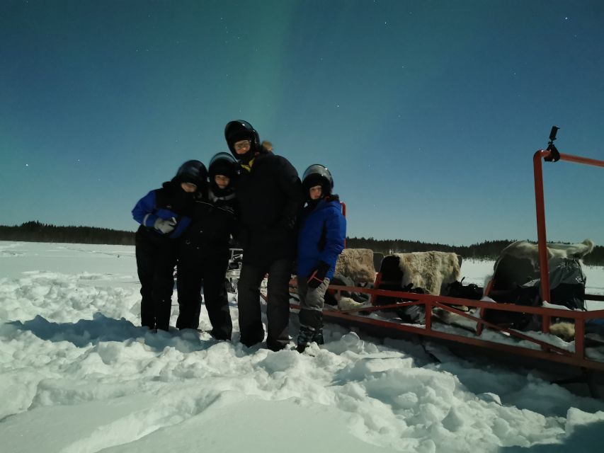 Rovaniemi: Northern Lights Sledge Ride - Who should book, and who should skip it