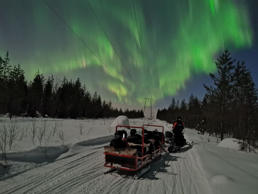 Rovaniemi: Northern Lights Sledge Ride - Should you book this Northern Lights sledge ride?