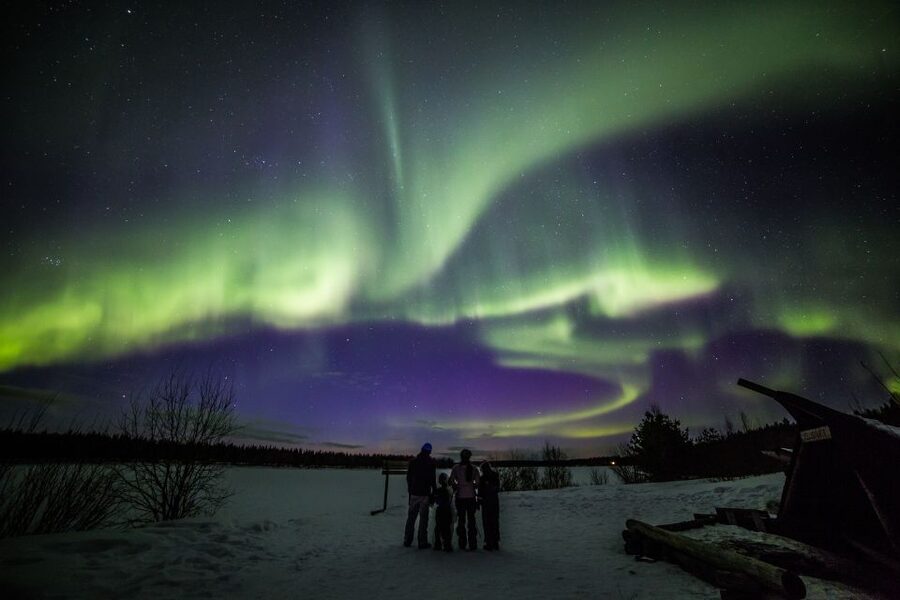 Rovaniemi: Northern Lights Sledge Ride - Northern Lights hunting by snowmobile: why this plan beats pure luck