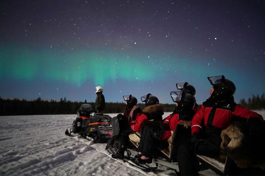 Rovaniemi: Northern Lights Sleigh Ride - Northern Lights by sleigh: the real vibe of this Rovaniemi night