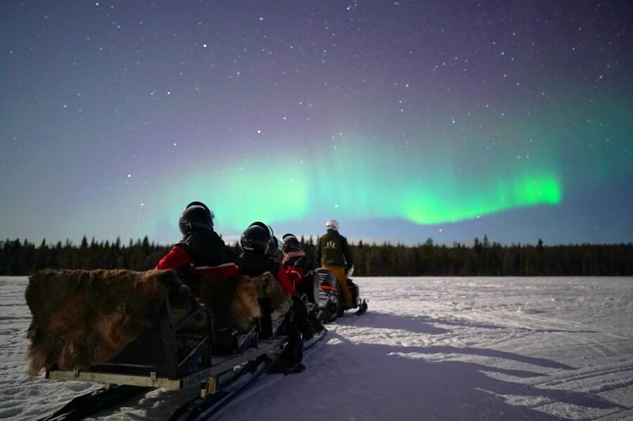 Rovaniemi: Northern Lights Sleigh Ride - When the lights show up (and when they don’t)