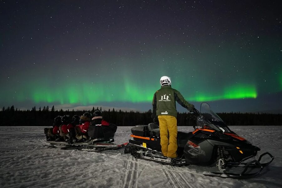 Rovaniemi: Northern Lights Sleigh Ride - Who this sleigh ride suits best