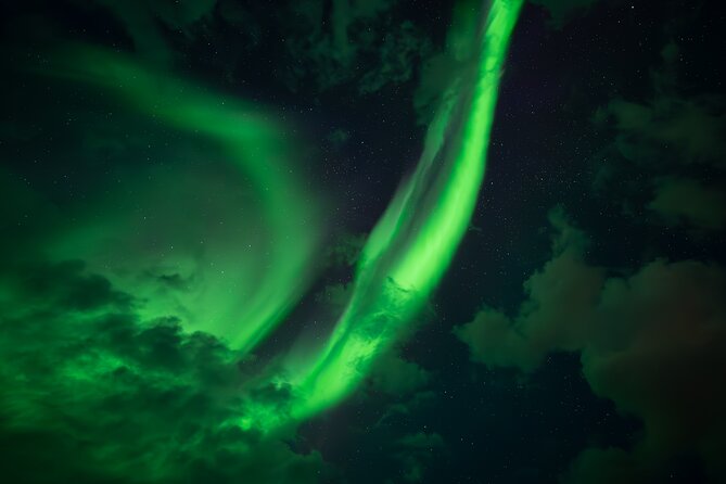 Rovaniemi: Northern Lights Small Group Money-Back Guarantee - What’s Included (and Why It Matters at -20°C)