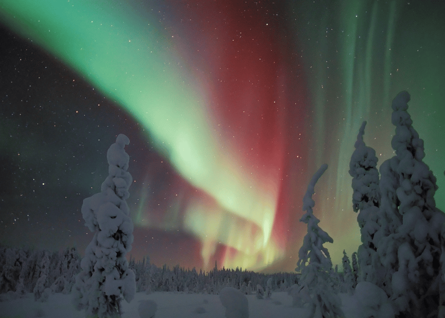 Rovaniemi: Northern Lights Snowmobile Safari with Campfire - Key things to know before you go