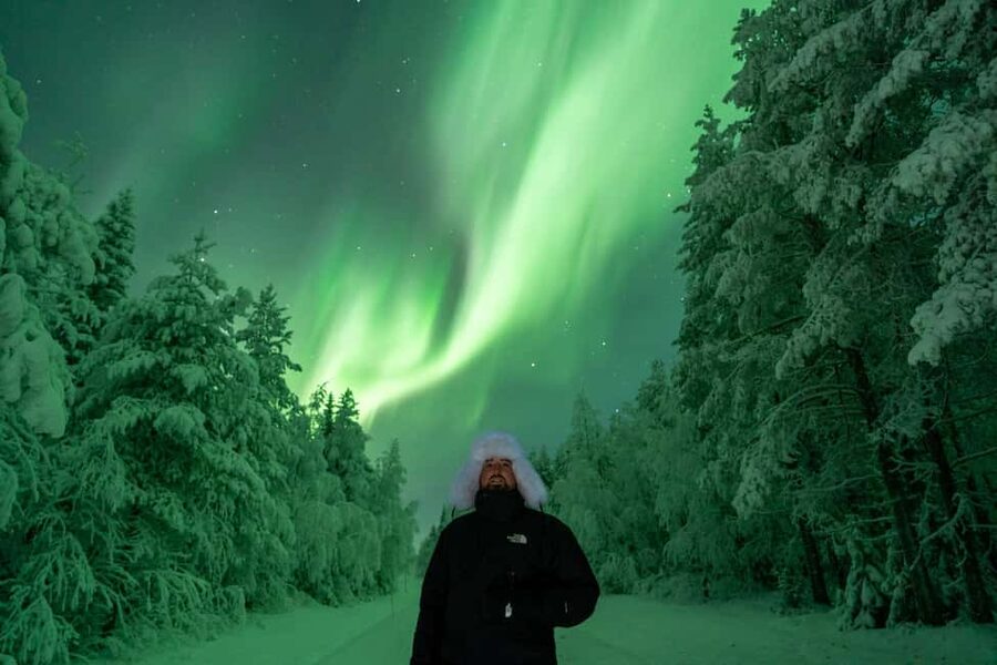 Rovaniemi: Northern Lights Tour - 100% Money Back Guarantee - Rovaniemi Northern Lights: what you’re really paying for