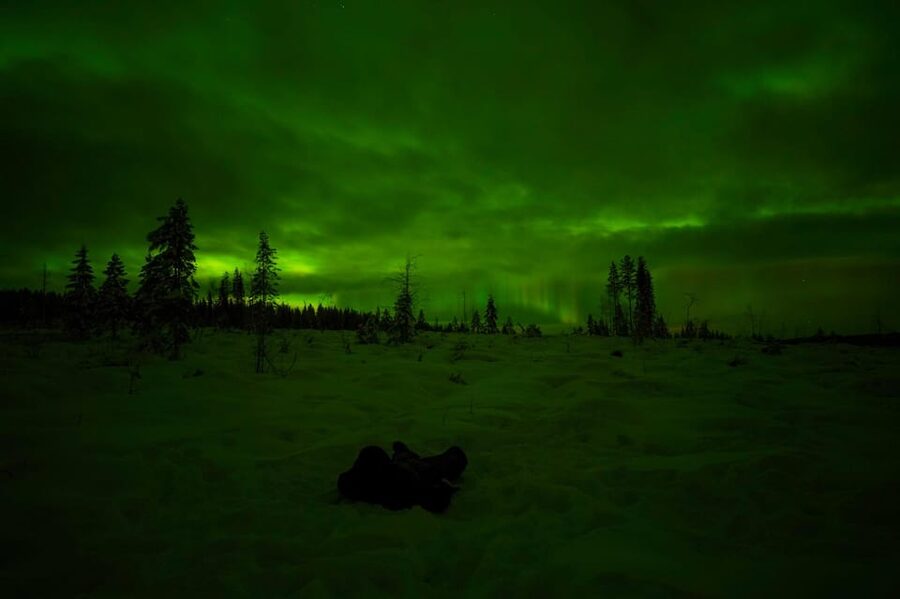 Rovaniemi: Northern Lights Tour at the Campfire - Key Things I’d Watch For