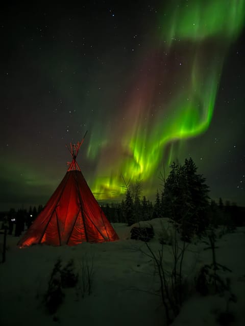 Rovaniemi: Northern Lights Tour at the Campfire - Price: What $140 Covers (and Why It Can Feel Worth It)