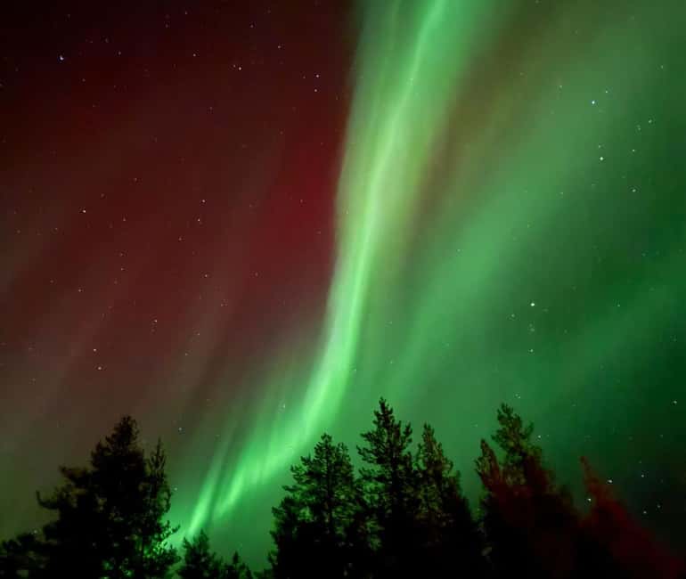Rovaniemi: Northern Lights Tour - Aurora Viewing Guaranteed - Small Group Comfort (Max 8) and Why It Matters at Night