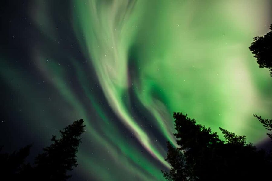 Rovaniemi: Northern Lights Tour – Guaranteed with Photos - Key highlights worth planning around