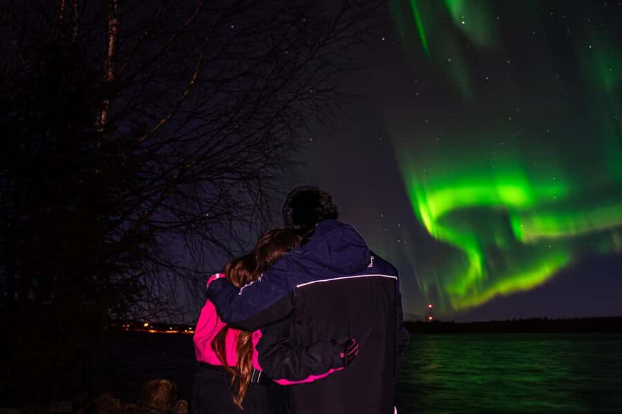 Rovaniemi: Northern Lights Tour – Guaranteed with Photos - Real-time aurora tracking: why moving matters