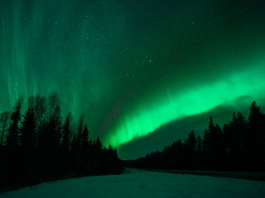 Rovaniemi: Northern Lights Tour with Guaranteed Sightings - The photo experience: what you’re actually paying for