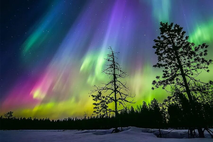 Rovaniemi: Northern Lights Trip with Arctic Sauna & Jacuzzi - Who should book this sauna, ice swimming, and lights hunt