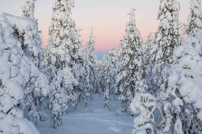 Rovaniemi photography tour - What the Photographer Actually Does (Beyond Pointing)