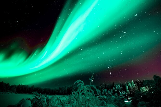 Rovaniemi: Private Aurora Tour with Guaranteed Sightings - Why This Private Aurora Tour in Rovaniemi Gets Such High Marks
