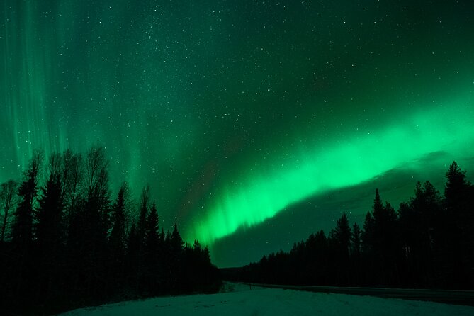 Rovaniemi: Private Aurora Tour with Guaranteed Sightings - Private Means More Than Fewer People