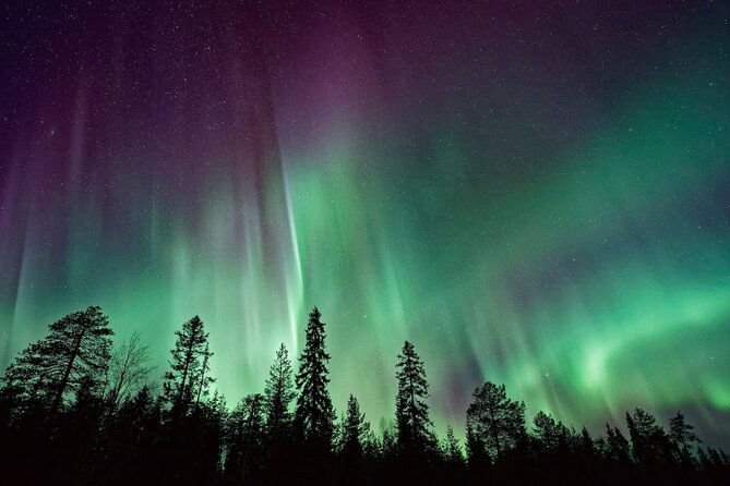 Rovaniemi: Private Aurora Tour with Guaranteed Sightings - What I’d Learn From the Reviews (and Use to Pick Your Night)