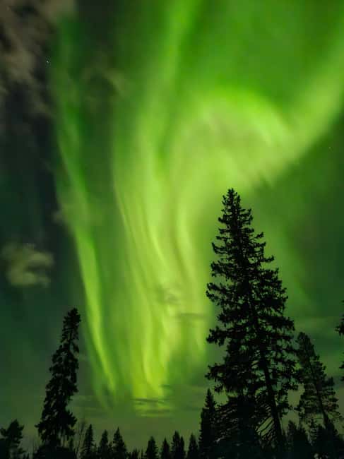 Rovaniemi: Private Self-drive husky sledding Aurora tour - Driving your own husky sled: the 5 km “learn by doing” part