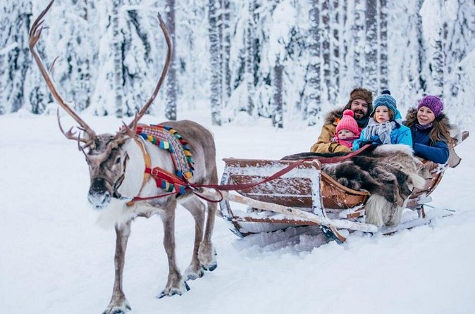 Rovaniemi Private Transfer from Rovaniemi city centre to Rovaniemi airport - Price and value: when it feels fair (and when it stings)