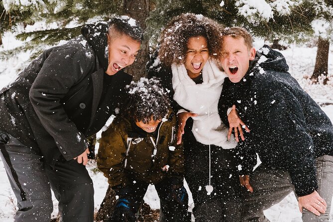 Rovaniemi: Private Winter Wonderland Photoshoot Tour - Price and Logistics: how $242 maps to real value