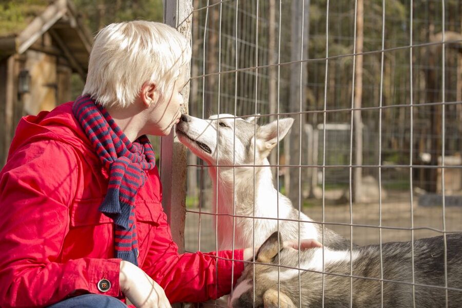 Rovaniemi: Quad Bike Safari, Reindeer & Husky Farm Visit - Key points at a glance