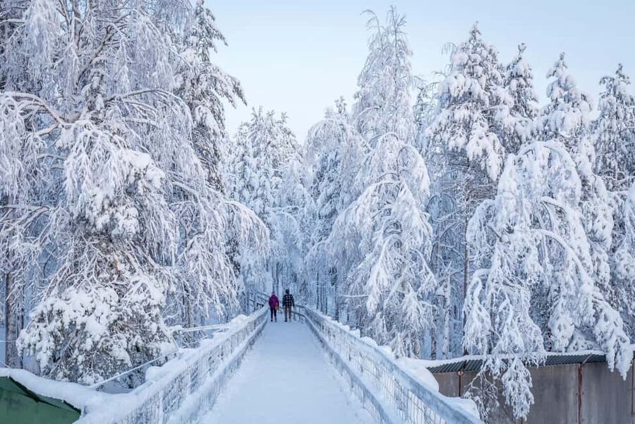 Rovaniemi: Ranua Zoo Wildlife Park Tour with hotel pickup - Timing and pacing: the whole day in one clean flow