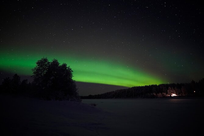 Rovaniemi – Real Northern Lights Hunting Experience (Small Group) - Rovaniemi Aurora Hunt in a Max 8 Van: What You’re Buying