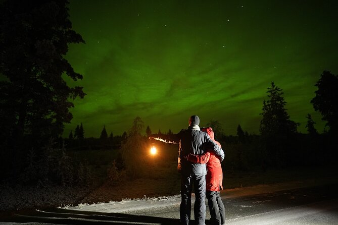 Rovaniemi – Real Northern Lights Hunting Experience (Small Group) - Who Should Book This Small-Group Hunt With Arktictopia