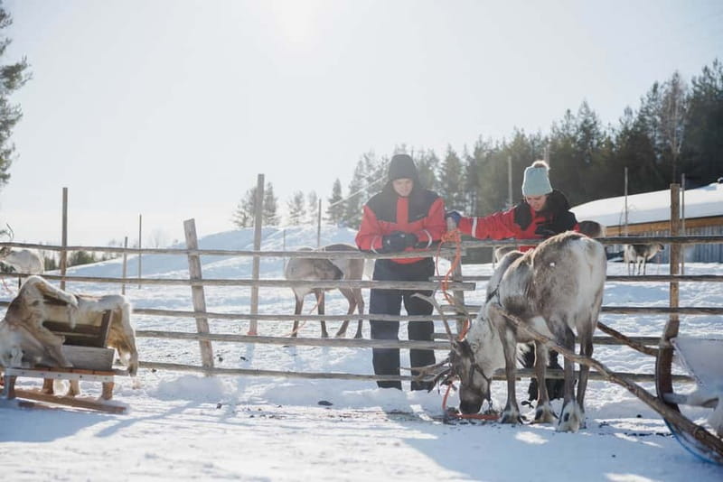 Rovaniemi: Reindeer Experience with Sleigh Ride - The drive to the reindeer farm (and how to stay comfortable)