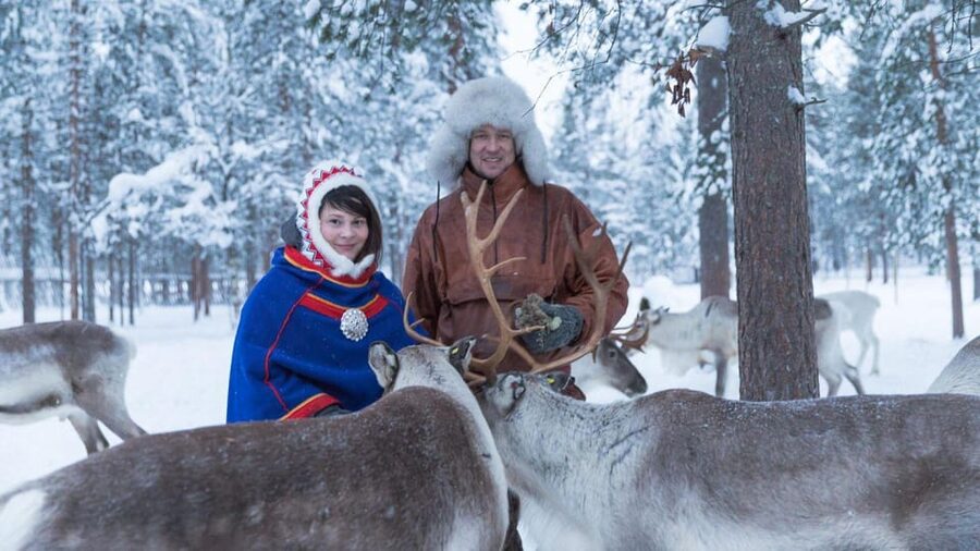 Rovaniemi: Reindeer Farm Visit and Sleigh Ride with transfer - Practical Tips to Make It Feel Worth It