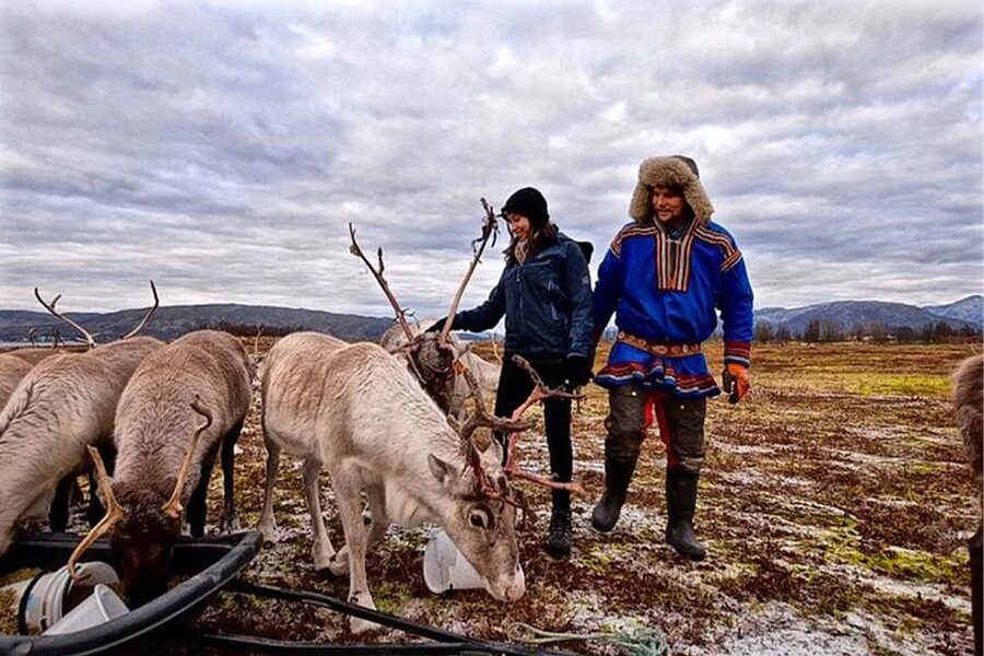 Rovaniemi: Reindeer Farm Visit in the Summer - What you’re actually visiting: a Lappish reindeer farm and its semi-domesticated herd