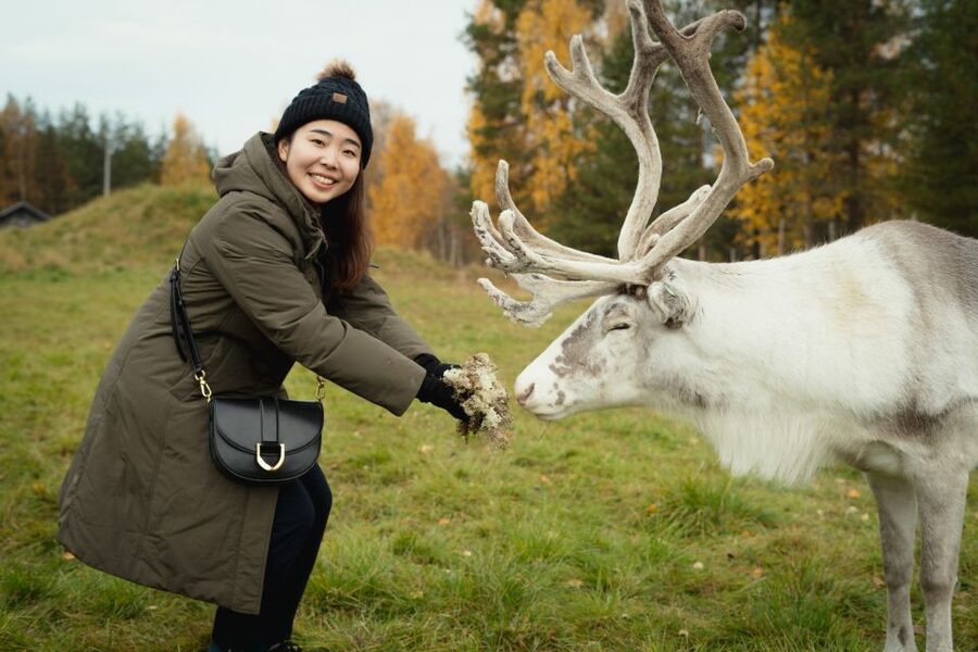Rovaniemi: Reindeer Farm Visit with Photographer - A reindeer farm visit that feels real, not a postcard factory