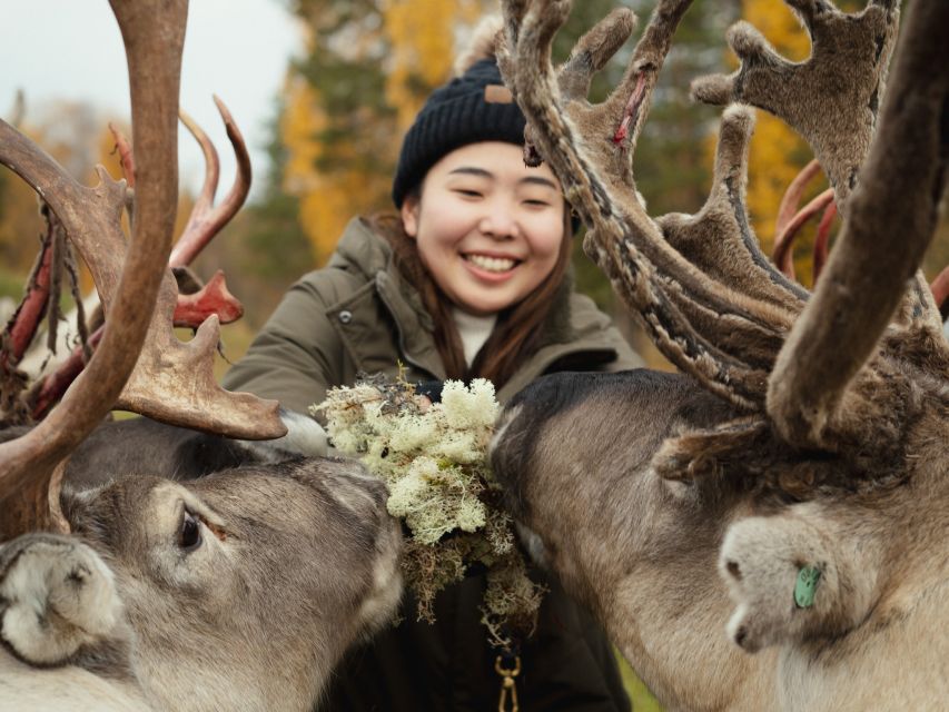 Rovaniemi: Reindeer Farm Visit with Photographer - Price and value at $139 per person: what you’re truly paying for