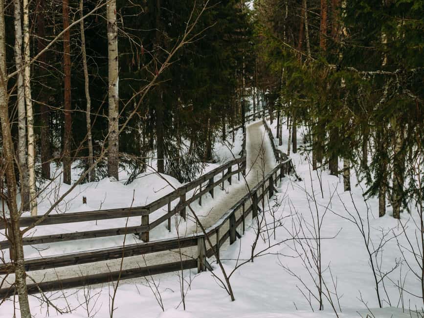Rovaniemi: Reindeer Farm Visit with Sleigh Ride & Pickup - Where This Reindeer Farm Experience Fits in Your Lapland Day