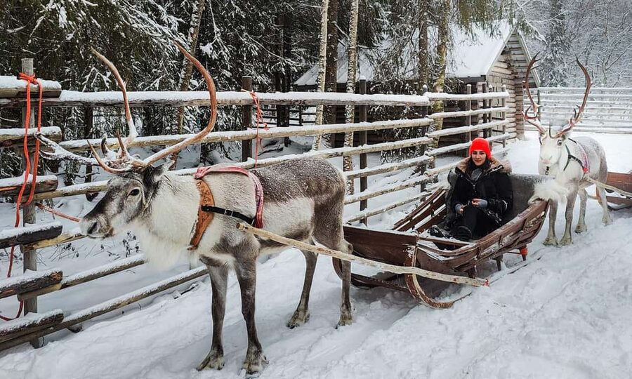 Rovaniemi: Reindeer Farm Visit with Sleigh Ride & Snacks - Price value check: is $129 fair for what you get?