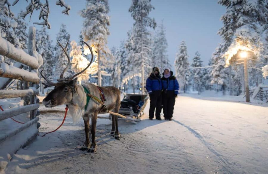 Rovaniemi: Reindeer Farm Visit with Sleigh Ride & Snacks - Pickup from your hotel and the drive to the farm