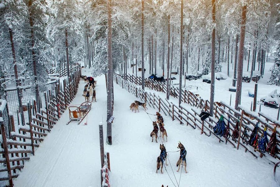 Rovaniemi: Reindeer & Husky Ride with Santa Claus Village - Pickup and Getting Started in Rovaniemi (So You Don’t Waste Winter Hours)