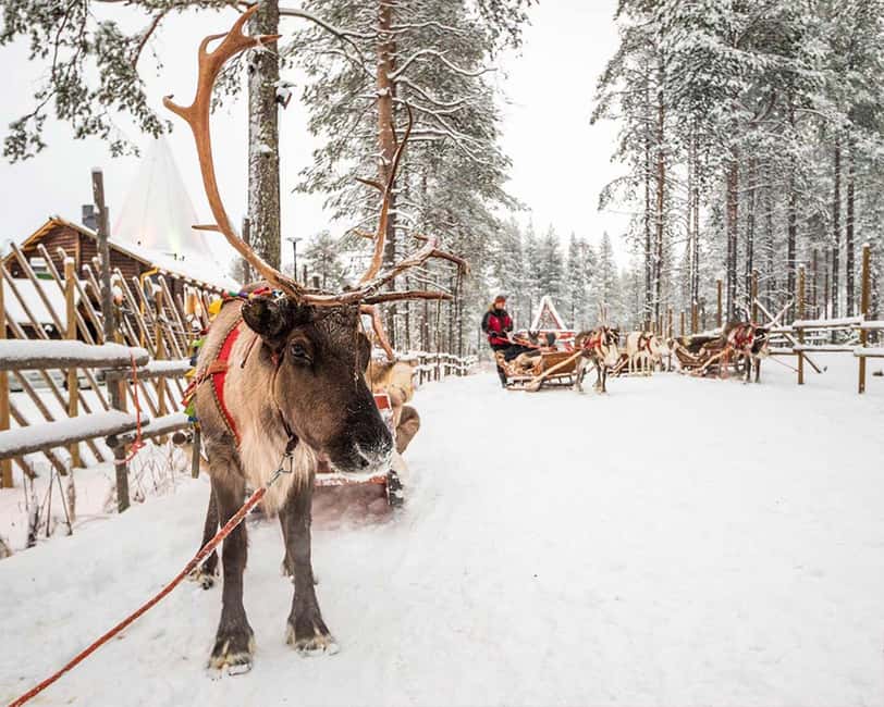 Rovaniemi: Reindeer & Husky Ride with Santa Claus Village - Meet Santa Claus: The Big Finish You’ll Remember