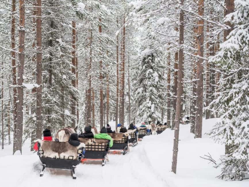 Rovaniemi: Reindeer Safari at 200-Year-Old Farm & Sled Ride - Warm Up in the Kota: Hot Drinks, Fire, and the Stories