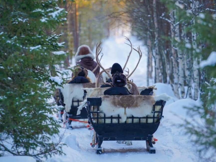 Rovaniemi: Reindeer Safari at 200-Year-Old Farm & Sled Ride - Price in Perspective: What $211 Gets You (and Why It Might Be Worth It)