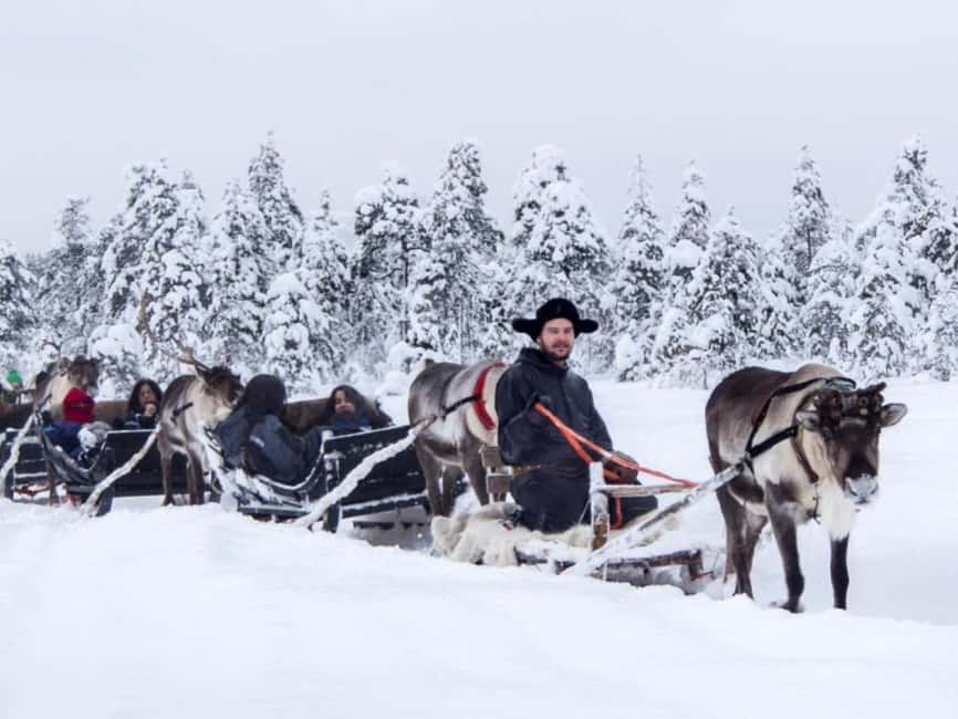 Rovaniemi: Reindeer Safari at 200-Year-Old Farm & Sled Ride - Who This Tour Suits Best (and Who Might Want Something Different)