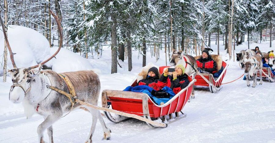 Rovaniemi: Reindeer Sleigh Ride with Hot Drink and Cookies - The big idea: an old-style reindeer farm visit in Rovaniemi
