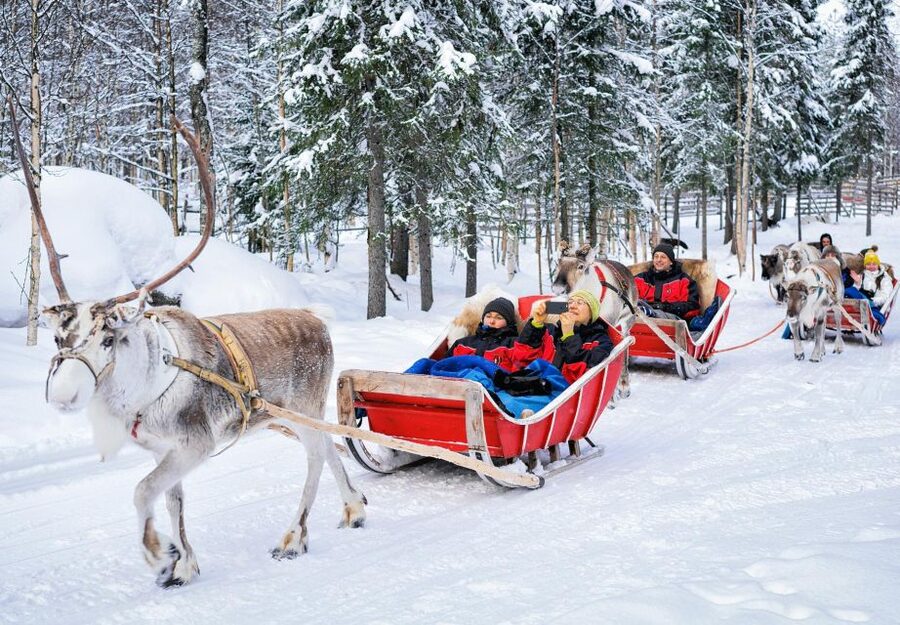 Rovaniemi: Reindeer Sleigh Ride with Hot Drink and Cookies - Kota warm-up: hot berry juice, cookies, and the reindeer lifecycle talk